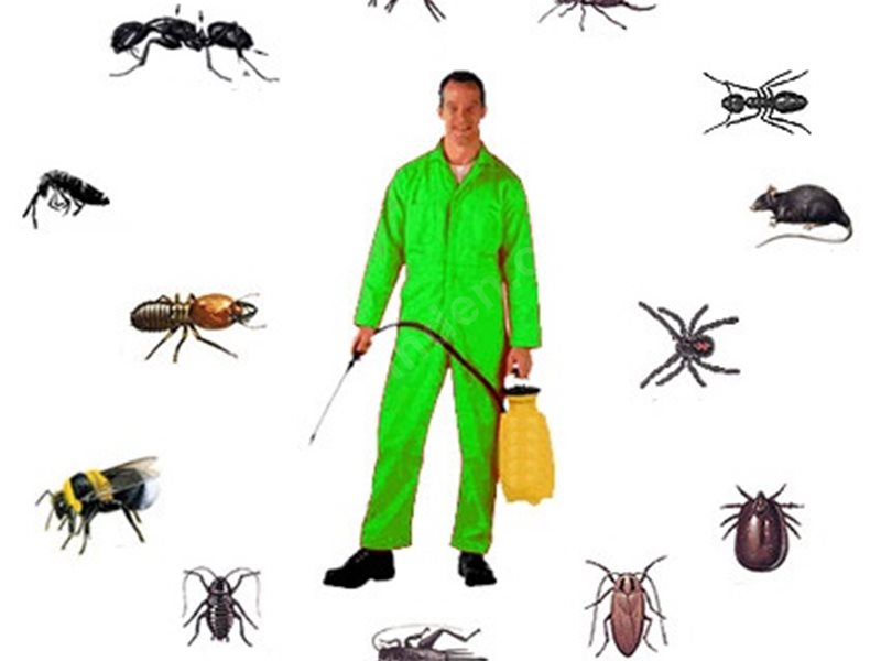 Çağlayancerit Böcek İlaçlama