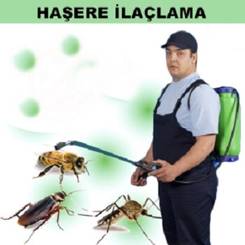 Çağlayancerit Böcek İlaçlama